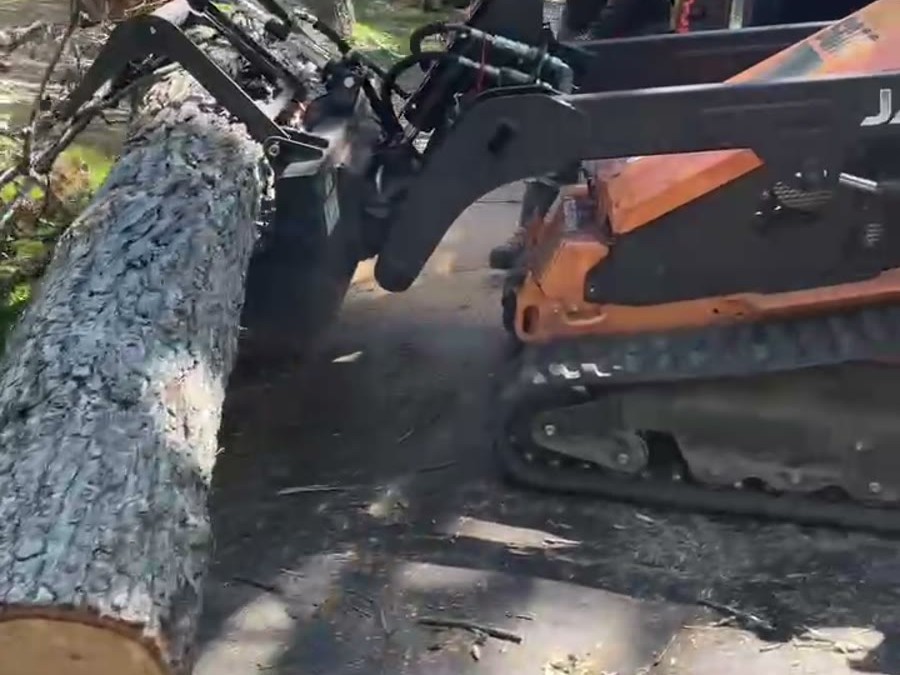Crew clearing a cut stump