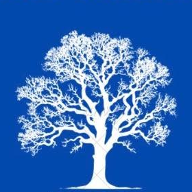 Bro's Pro Tree Service