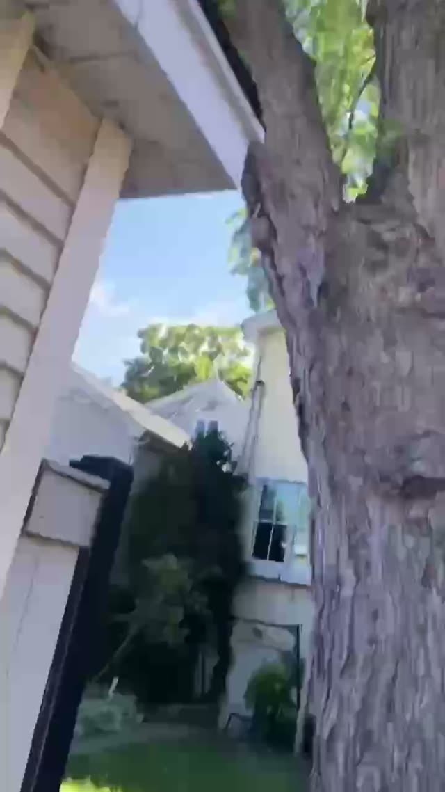 Careful tree work in a tight space next to a house